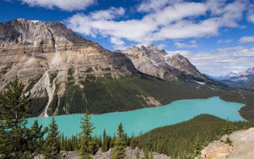 第九大陆好玩么(第九大陆手游)插图 第九大陆好玩么(第九大陆手游)插图