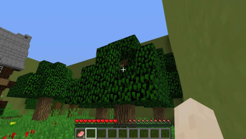 我的世界解密地图解说(鲤鱼解说我的世界生活大冒险)插图8 我的世界解密地图解说(鲤鱼解说我的世界生活大冒险)插图8