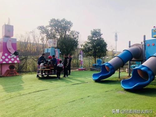 洛克王国紫藤(洛克王国紫藤的快速收集方法)插图16