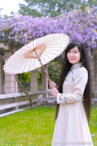 樱花校园的紫藤裙子的版本(樱花校园有紫藤礼服和旗袍)插图20 樱花校园的紫藤裙子的版本(樱花校园有紫藤礼服和旗袍)插图20