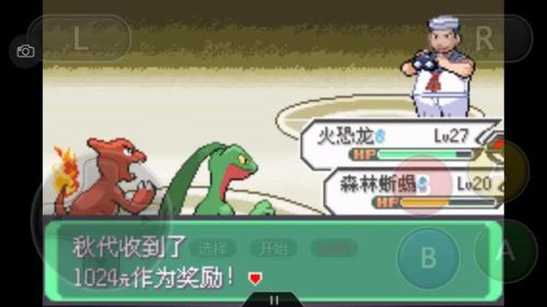口袋妖怪绿宝石386二周目攻略(幻影之塔每一层有什么精灵)插图56