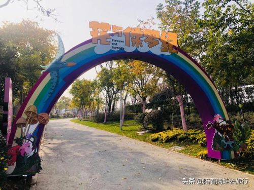 洛克王国紫藤(洛克王国紫藤的快速收集方法)插图24