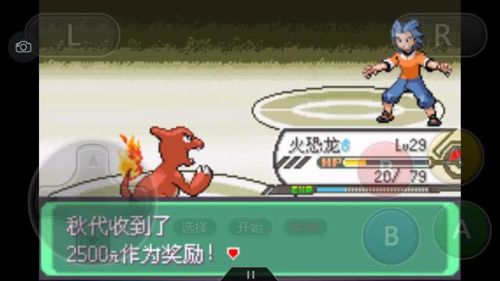 口袋妖怪绿宝石386二周目攻略(幻影之塔每一层有什么精灵)插图80