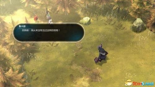 失落的宝藏任务(遗失的宝藏全部攻略)插图57