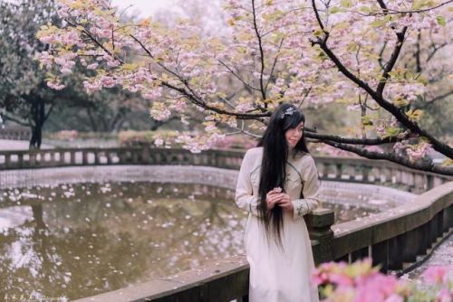 樱花校园的紫藤裙子的版本(樱花校园有紫藤礼服和旗袍)插图3 樱花校园的紫藤裙子的版本(樱花校园有紫藤礼服和旗袍)插图3