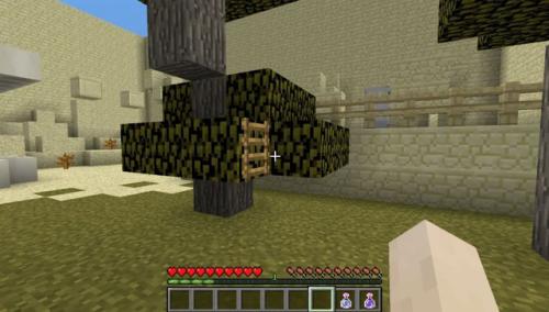 我的世界解密地图解说(鲤鱼解说我的世界生活大冒险)插图21 我的世界解密地图解说(鲤鱼解说我的世界生活大冒险)插图21