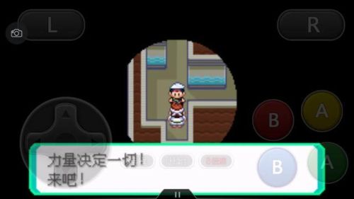 口袋妖怪绿宝石386二周目攻略(幻影之塔每一层有什么精灵)插图58