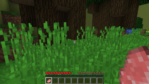 我的世界解密地图解说(鲤鱼解说我的世界生活大冒险)插图6 我的世界解密地图解说(鲤鱼解说我的世界生活大冒险)插图6