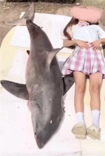 清除噬人黑暗(噬人意思)