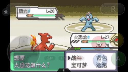 口袋妖怪绿宝石386二周目攻略(幻影之塔每一层有什么精灵)插图60
