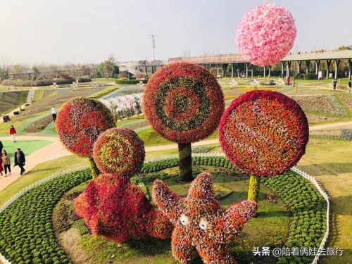 洛克王国紫藤(洛克王国紫藤的快速收集方法)插图36