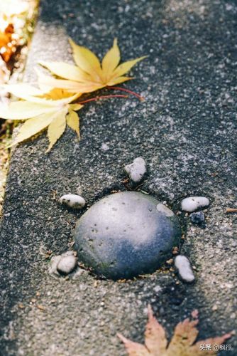 造梦西游2地藏金戒怎么融(造梦西游2八戒地藏金戒怎么融)插图15 造梦西游2地藏金戒怎么融(造梦西游2八戒地藏金戒怎么融)插图15