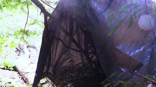 荒野求生100天完整版(荒野独居1-12季全部)插图9