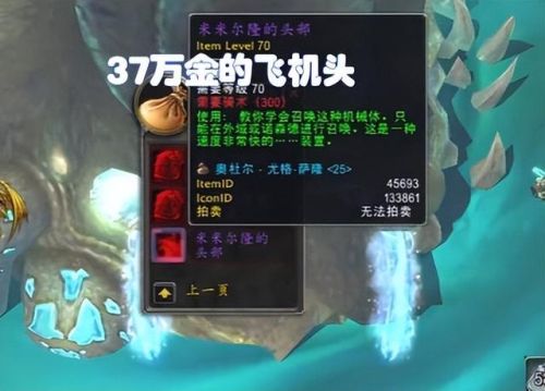 奥杜尔米米尔隆的头部(魔兽世界奥杜尔飞机头怎么拿)插图1 奥杜尔米米尔隆的头部(魔兽世界奥杜尔飞机头怎么拿)插图1