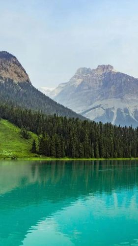 第九大陆好玩么(第九大陆手游)插图3 第九大陆好玩么(第九大陆手游)插图3