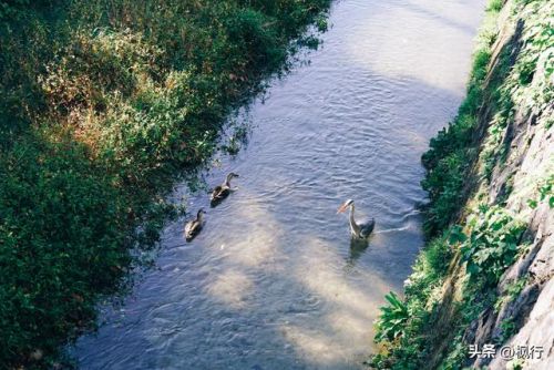 造梦西游2地藏金戒怎么融(造梦西游2八戒地藏金戒怎么融)插图3 造梦西游2地藏金戒怎么融(造梦西游2八戒地藏金戒怎么融)插图3