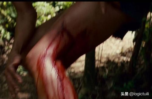 完美逃脱1(密室逃脱1 电影)插图