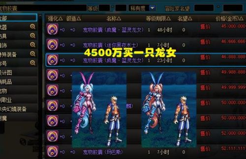 dnf拍卖行能买到的宠物(dnf宠物装备拍卖行怎么搜)插图3 dnf拍卖行能买到的宠物(dnf宠物装备拍卖行怎么搜)插图3