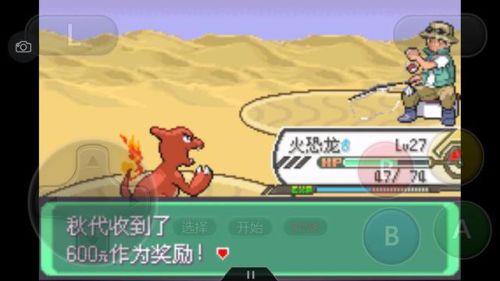 口袋妖怪绿宝石386二周目攻略(幻影之塔每一层有什么精灵)插图37
