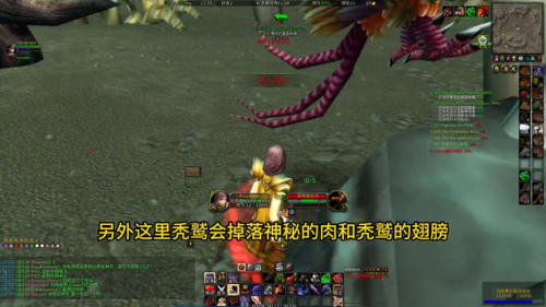 魔兽战士练级砍怪路线(怀旧服联盟战士纯刷怪升级路线)插图3