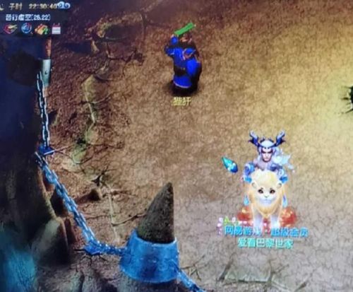 口袋怪兽金刚石(口袋妖怪金银进化石)