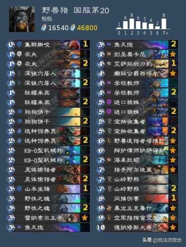 炉石传说最新卡组2022(炉石传说圣骑士卡组)插图8 炉石传说最新卡组2022(炉石传说圣骑士卡组)插图8