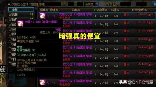 dnf宠物宝珠60物攻(dnf给宠物附魔的宝珠都有哪些)插图4