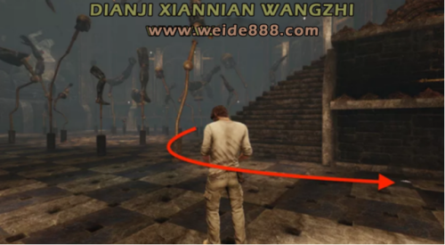 神秘海域3动物拼图(神秘海域天使鸟羊狮子)