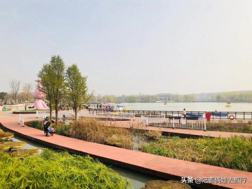 洛克王国紫藤(洛克王国紫藤的快速收集方法)插图4