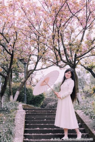 樱花校园的紫藤裙子的版本(樱花校园有紫藤礼服和旗袍)插图8 樱花校园的紫藤裙子的版本(樱花校园有紫藤礼服和旗袍)插图8