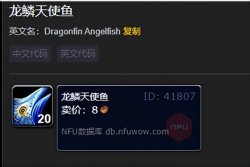 龙鳞天使鱼(小天使长几年才有龙鳞)