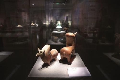 固执胜利者的头冠(固执保卫者的头冠在哪换)