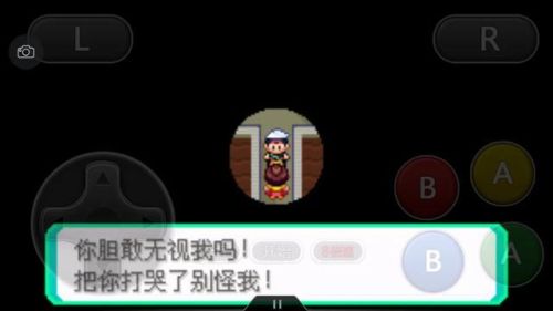 口袋妖怪绿宝石386二周目攻略(幻影之塔每一层有什么精灵)插图48