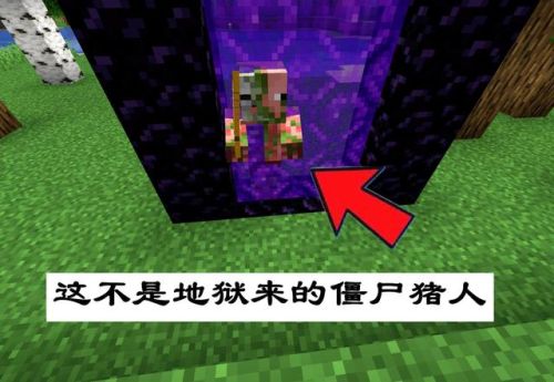 我的世界地狱门最大尺寸(地狱门的尺寸和种类)插图11