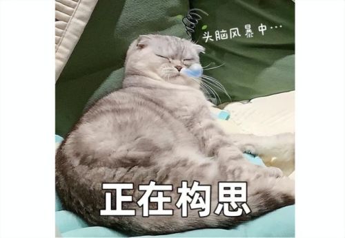 激战2全职业技能介绍(激战2什么职业pvp最强)插图11