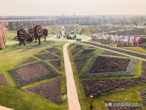 洛克王国紫藤(洛克王国紫藤的快速收集方法)插图41