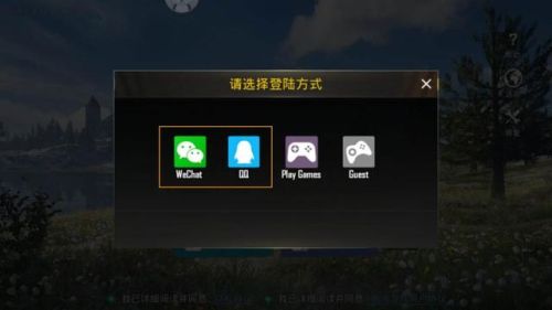绝地求生国际服正式服(pubg国际版正式服)插图7