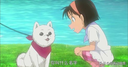 口袋侦探2服装(口袋侦探怎么才能玩)插图4 口袋侦探2服装(口袋侦探怎么才能玩)插图4