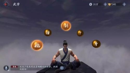 流星蝴蝶剑秘籍无限气指令(流星蝴蝶剑皇天城怎么过关)插图3