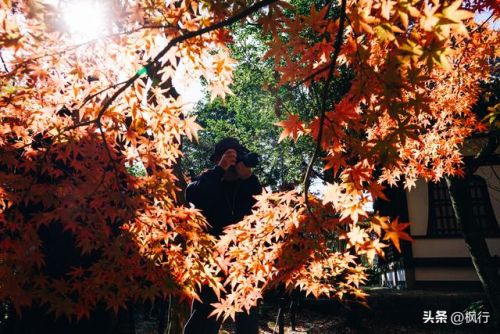 造梦西游2地藏金戒怎么融(造梦西游2八戒地藏金戒怎么融)插图1 造梦西游2地藏金戒怎么融(造梦西游2八戒地藏金戒怎么融)插图1