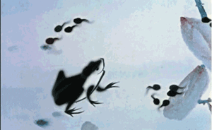 怀旧经典动画片100部(神兵奇迹)插图11