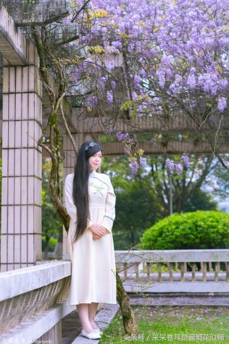 樱花校园的紫藤裙子的版本(樱花校园有紫藤礼服和旗袍)插图21 樱花校园的紫藤裙子的版本(樱花校园有紫藤礼服和旗袍)插图21