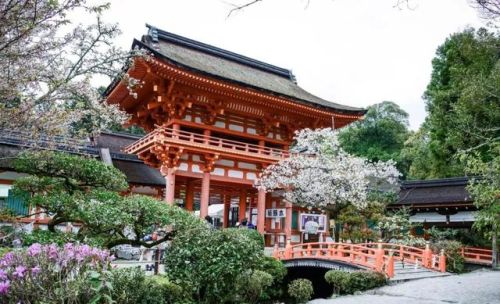 阴阳师光头小僧哪里多(哪个副本独眼小僧多)插图4 阴阳师光头小僧哪里多(哪个副本独眼小僧多)插图4