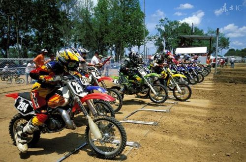 狂扁僵尸无敌版(狂扁)