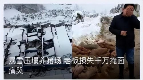 网易游戏大全手机游戏(网易手游都有哪些)插图26