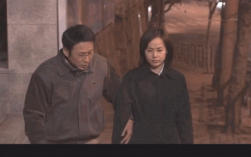 博士的家3完整版手机版(博士之家游戏)插图15