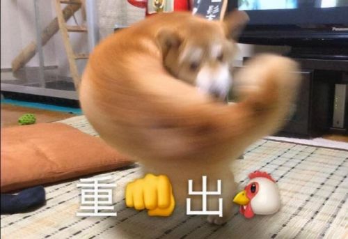 合战忍者村最佳规划图(合战忍者村全图经济布局)插图18 合战忍者村最佳规划图(合战忍者村全图经济布局)插图18