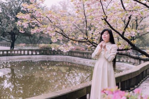 樱花校园的紫藤裙子的版本(樱花校园有紫藤礼服和旗袍)插图 樱花校园的紫藤裙子的版本(樱花校园有紫藤礼服和旗袍)插图