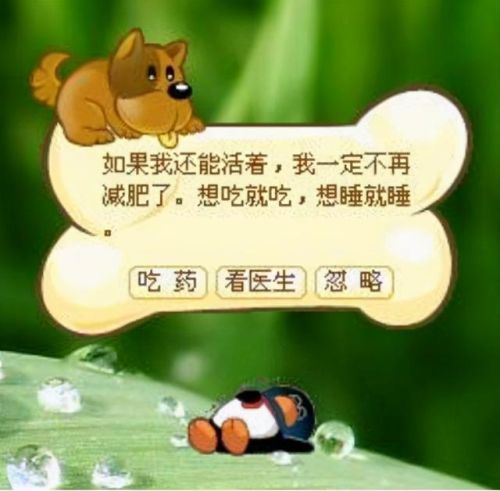 摩尔庄园肥肥馆攻略(摩尔庄园肥肥总动员在哪)插图9