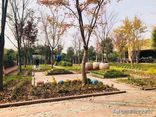 洛克王国紫藤(洛克王国紫藤的快速收集方法)插图18
